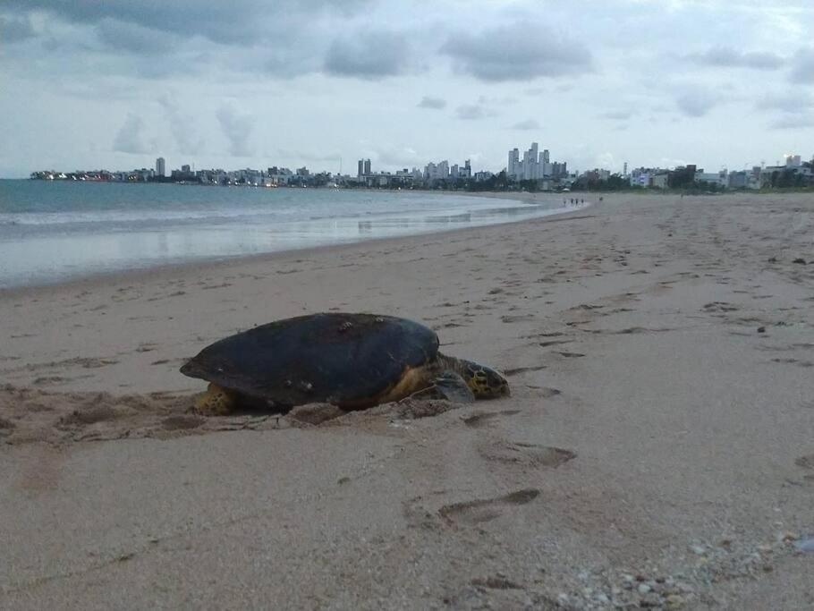 Joao Pessoa, A Dois Passos Do Paraiso, 2 Suites Com A/C, Vista Panoramica Para O Mar Do Bessa, Portaria 24H E 2 Vagas De Garagem Екстер'єр фото